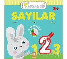 Sayılar - Küçük Tavşancık - Rasa Dmuchovskiene - Eksik Parça Yayınları