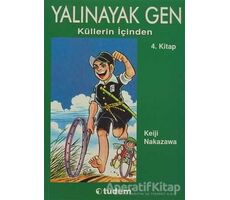 Yalınayak Gen Küllerin İçinden 4. Kitap - Keiji Nakazawa - Desen Yayınları