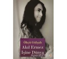 Akıl Ermez İşine Dünya - Ökçü Gülşah - Cinius Yayınları