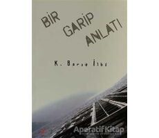 Bir Garip Anlatı - K. Barış İlbi - Cinius Yayınları