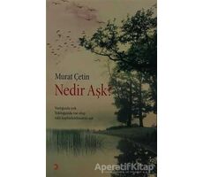 Nedir Aşk? - Murat Çetin - Cinius Yayınları