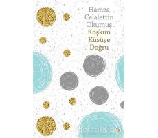 Koşkun Küsüye Doğru - Hamza Celalettin Okumuş - Cinius Yayınları