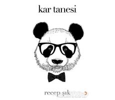 Kar Tanesi - Recep Şık - Cinius Yayınları