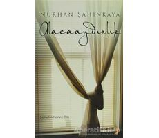 Alacaaydınlık - Nurhan Şahinkaya - Cinius Yayınları