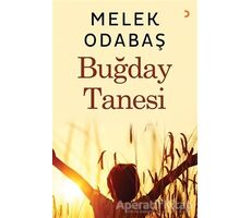 Buğday Tanesi - Melek Odabaş - Cinius Yayınları