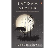 Saydam Şeyler - Ferruh Sidar - Cinius Yayınları