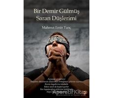 Bir Demir Gülmüş Saran Düşlerimi - Mahmut Emin Tunç - Cinius Yayınları