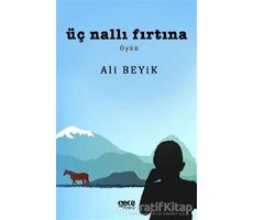 Üç Nallı Fırtına - Ali Beyik - Gece Kitaplığı