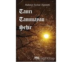 Tanrı Tanımayan Şehir - Mahmut Ferhat Alptekin - Gece Kitaplığı