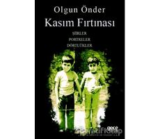 Kasım Fırtınası - Olgun Önder - Gece Kitaplığı