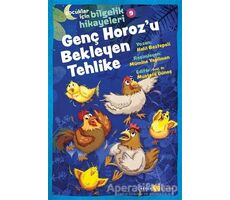 Genç Horozu Bekleyen Tehlike  -  Çocuklar İçin Bilgelik Hikayeleri 9