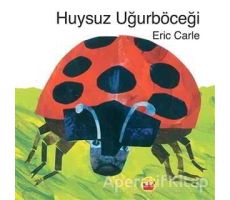 Huysuz Uğurböceği - Eric Carle - Kuraldışı Yayınevi