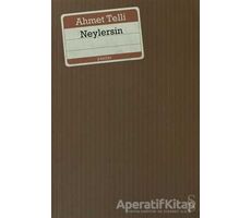 Neylersin - Ahmet Telli - Everest Yayınları