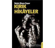 Kırık Hikayeler - Vedat Ahsen Coşar - Dorlion Yayınları