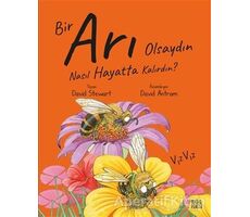 Bir Arı Olsaydın Nasıl Hayatta Kalırdın? - David Stewart - Masalperest