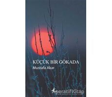 Küçük Bir Gökada - Mustafa Akar - Profil Kitap