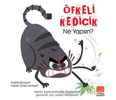 Öfkeli Kedicik - Audrey Bouquet - Uçan Fil Yayınları