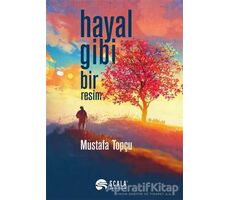 Hayal Gibi Bir Resim - Mustafa Topçu - Scala Yayıncılık