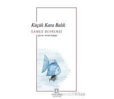 Küçük Kara Balık - Samed Behrengi - Dekalog Yayınları