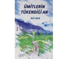 Ümitlerin Tükendiği An - Ali Lale - Nida Yayınları