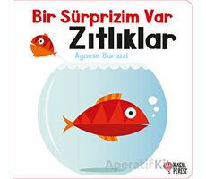 Bir Sürprizim Var - Zıtlıklar - Agnese Baruzzi - Masalperest