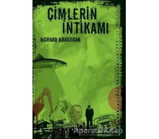 Çimlerin İntikamı - Richard Brautigan - Altıkırkbeş Yayınları