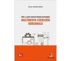 Fikir ve Sanat Eserleri Hukuku Kapsamında Multimedya Eserlerin Korunması