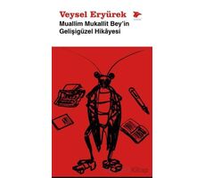 Muallim Mukallit Beyin Gelişigüzel Hikayesi - Veysel Eryürek - Alakarga Sanat Yayınları