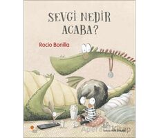 Sevgi Nedir Acaba? - Rocio Bonilla - Günışığı Kitaplığı