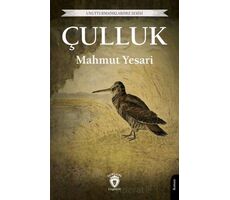 Çulluk - Mahmut Yesari - Dorlion Yayınları