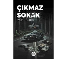 Çıkmaz Sokak - Eyüp Uğurlu - Elpis Yayınları