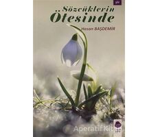 Sözcüklerin Ötesinde - Hasan Başdemir - Sinada Kitap