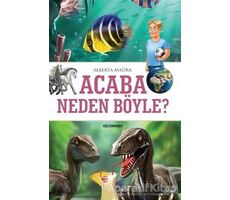 Acaba Neden Böyle? - Alberta Madra - Kültürperest Yayınevi