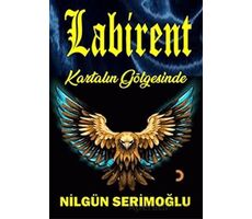 Labirent - Nilgün Serimoğlu - Cinius Yayınları