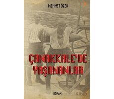 Çanakkale’de Yaşananlar - Mehmet Özek - Cinius Yayınları