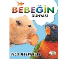 Bebeğin Dünyası Evcil Hayvanlar - Kollektif - 0-6 Yaş Yayınları