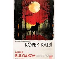 Köpek Kalbi - Mihail Bulgakov - Dokuz Yayınları