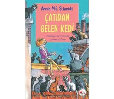 Çatıdan Gelen Kedi - Annie M.G. Schmidt - Can Çocuk Yayınları