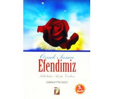 Örnek İnsan Efendimiz - Cemalettin Yazıcı - Altın Kalem Yayınları