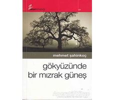 Gökyüzünde Bir Mızrak Güneş - Mehmet Şahinkoç - Okur Kitaplığı