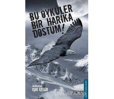 Bu Öyküler Bir Harika Dostum! - Işık İzgür - Sınırsız Kitap