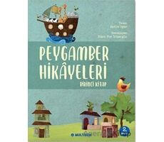 Peygamber Hikayeleri - Birinci Kitap - Hatice Uğur - Multibem Yayınları