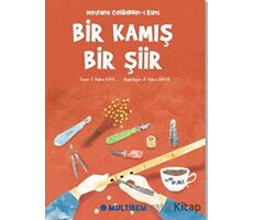 Bir Kamış Bir Şiir - F. Kübra Kaya - Multibem Yayınları