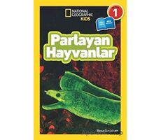 Parlayan Hayvanlar - Seviye 1 - Rose Davidson - Beta Kids