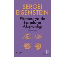 Piranesi ya da Formların Akışkanlığı - Sergey M. Eisenstein - Ketebe Yayınları