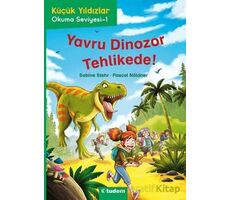 Küçük Yıldızlar: Yavru Dinozor Tehlikede! - Sabine Stehr - Tudem Yayınları