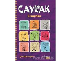 Çaylak - İş Başında - Deniz Eröztoprak - Yakamoz Yayınevi