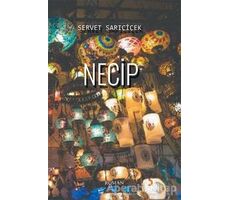 Necip - Servet Sarıçiçek - Cinius Yayınları