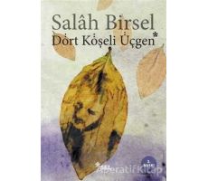 Dört Köşeli Üçgen - Salah Birsel - Sel Yayıncılık