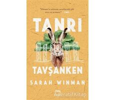 Tanrı Tavşanken - Sarah Winman - Yabancı Yayınları